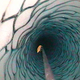Image for article titled Scientists Surprised To Discover Shrimp Deep Beneath the Antarctic Ice